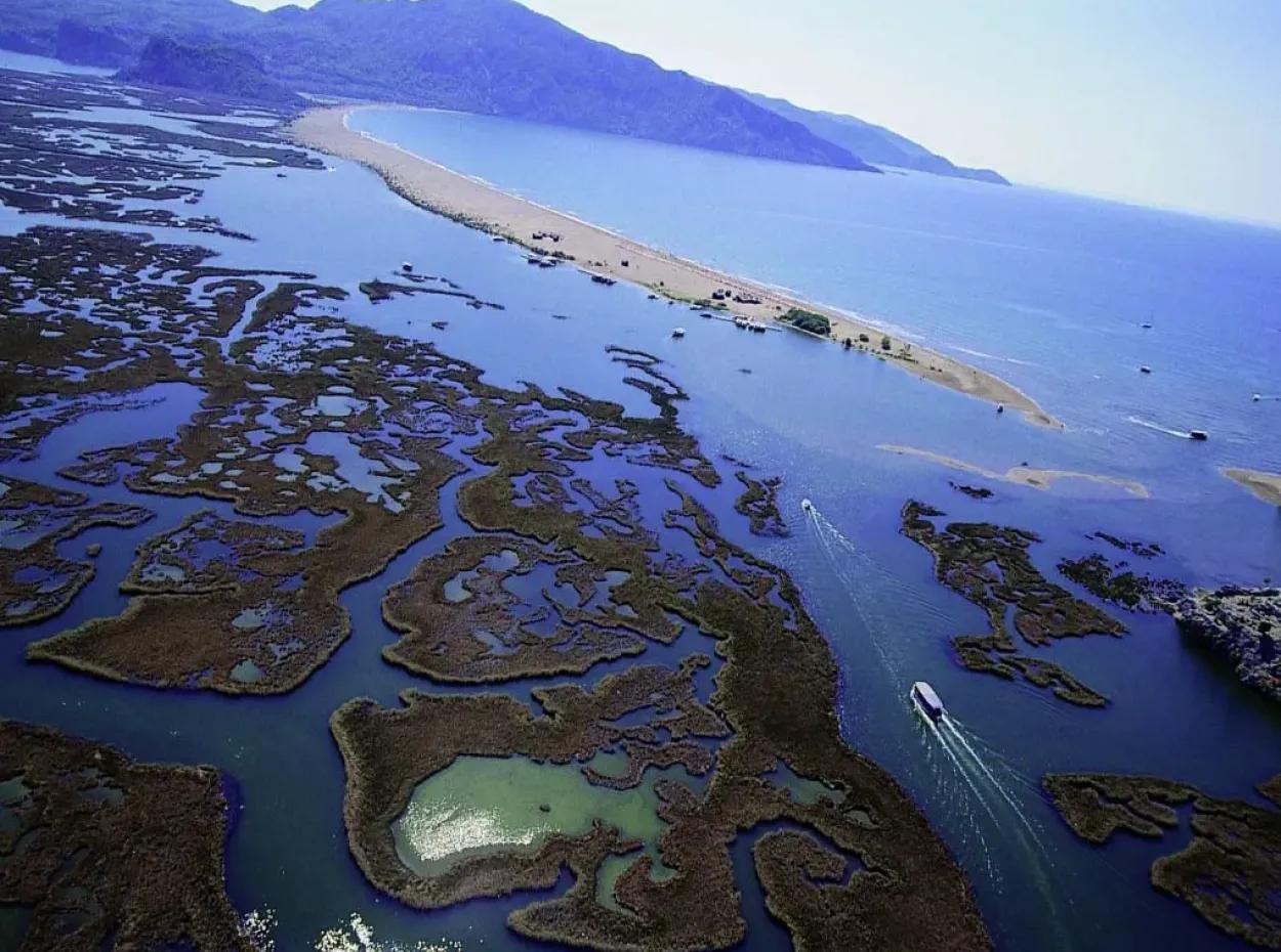 Dalyan Bootstour – Schwimmen, Natur & Caretta Abenteuer