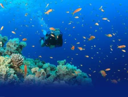 Dalyan Scuba Diving – Zertifiziertes Tauch-Abenteuer & Kurse