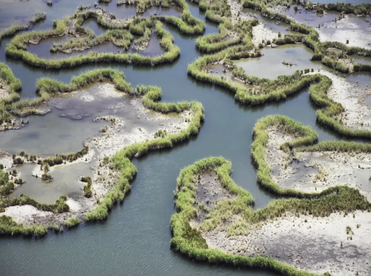 Discover Dalyan Boat Tour – Swim, Nature & Caretta Adventure