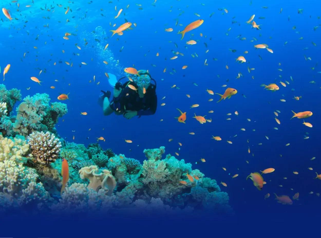 Scuba Diving Dalyan – Certified Diving Adventure & Courses