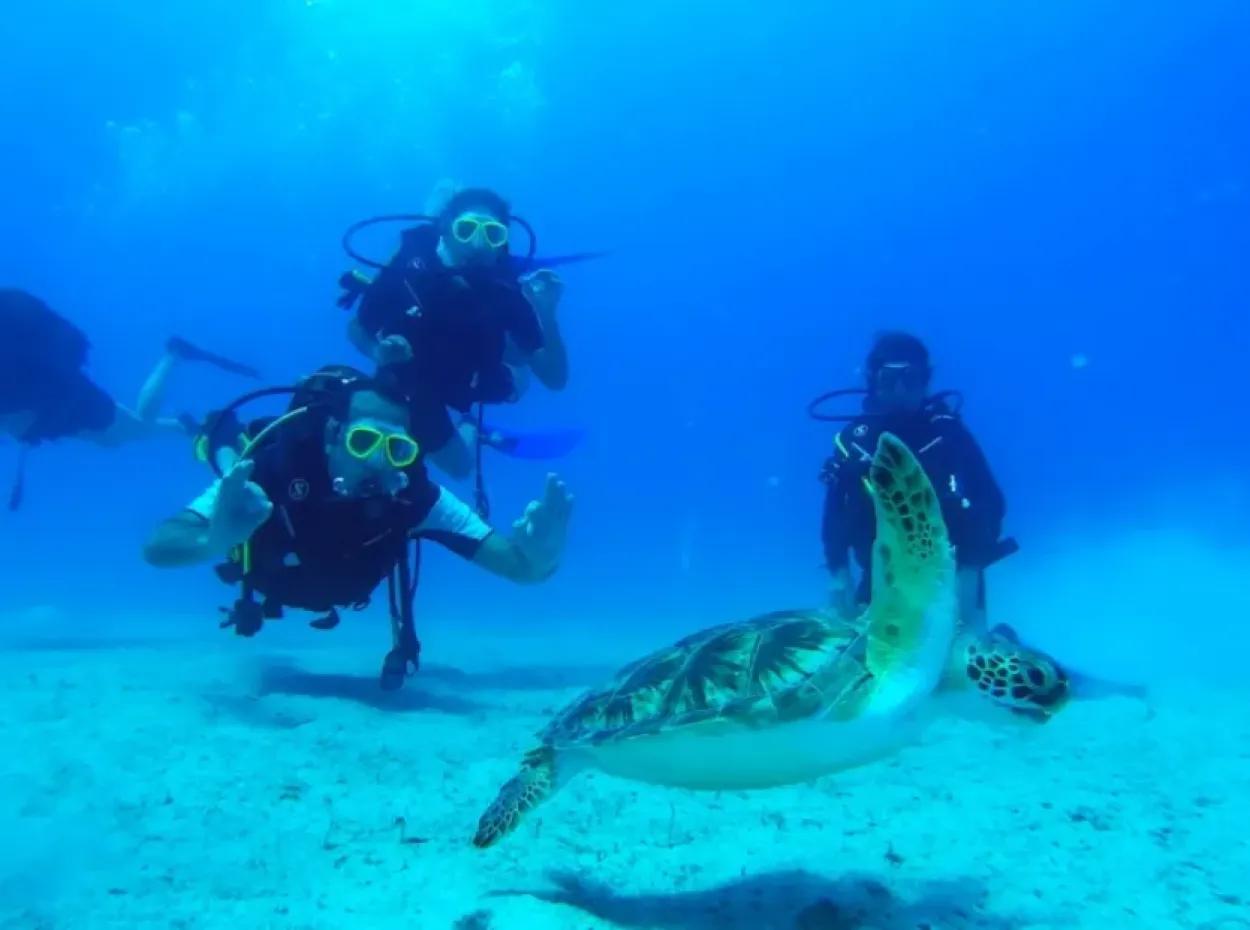 Scuba Diving Dalyan – Certified Diving Adventure & Courses