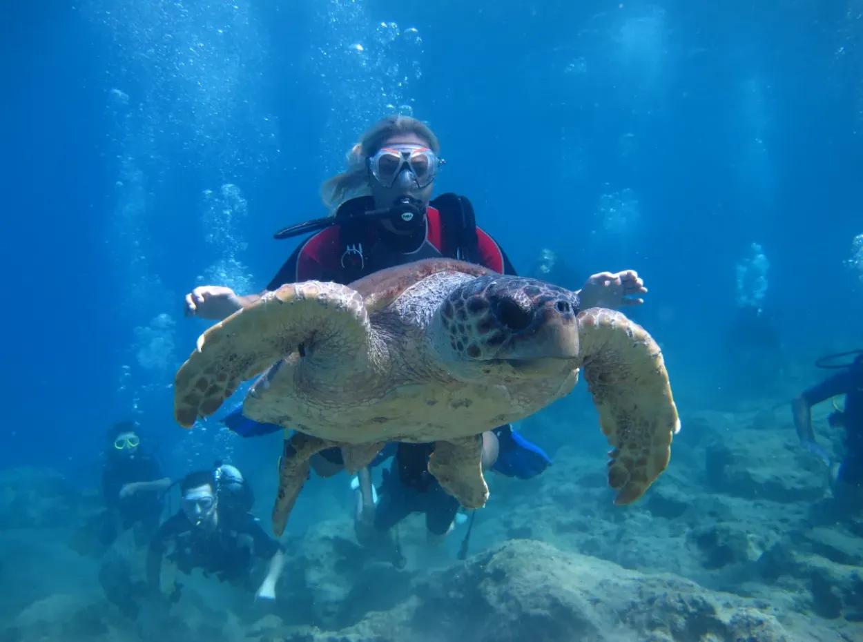 Scuba Diving Dalyan – Certified Diving Adventure & Courses