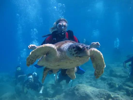Scuba Diving Dalyan – Certified Diving Adventure & Courses