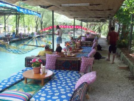 Saklıkent Canyon & Waterfall Experience – Full-Day Adventure Tour