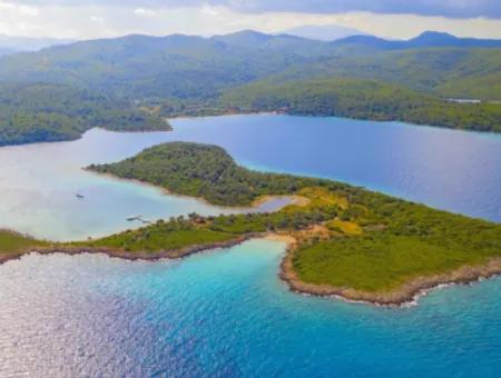 Akyaka Bays & Cleopatra Island Boat Tour | Full-Day Tour From Dalyan