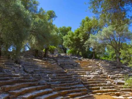 Akyaka Bays & Cleopatra Island Boat Tour | Full-Day Tour From Dalyan