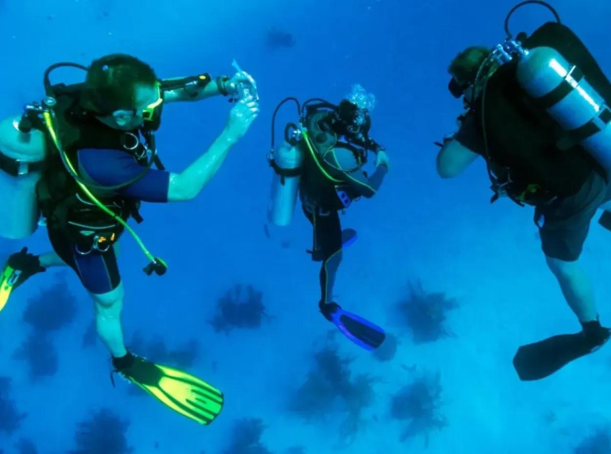 Dalyan Scuba Diving – Sertifikalı Dalış Macerası Ve Kurslar