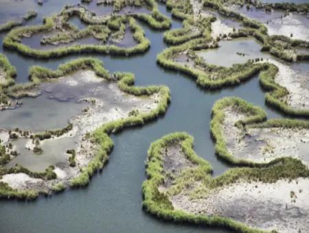 Dalyan Tekne Turu – Yüzme, Doğa Ve Caretta Macerası